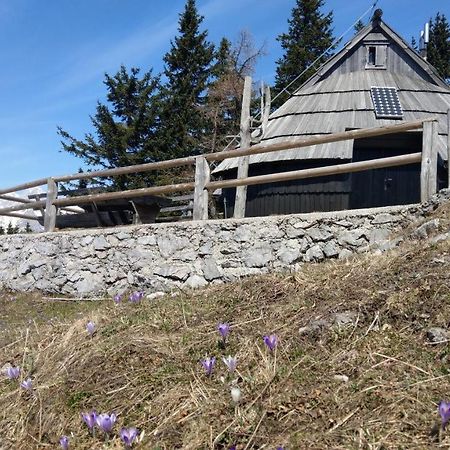 Chalet Resa - Velika Planina Stahovica Exterior photo