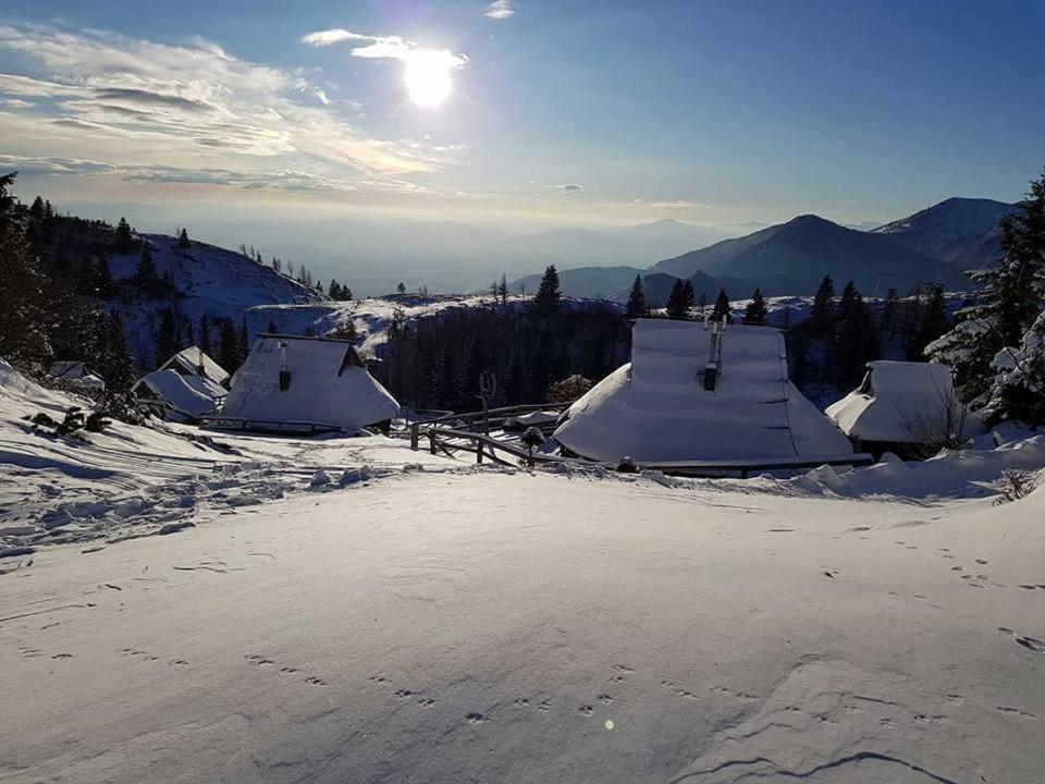 Chalet Resa - Velika Planina Stahovica Exterior photo