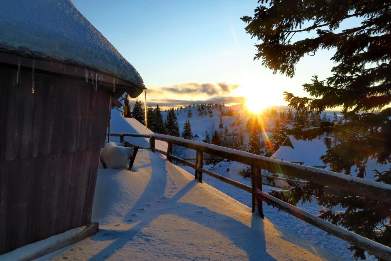 Chalet Resa - Velika Planina Stahovica Exterior photo