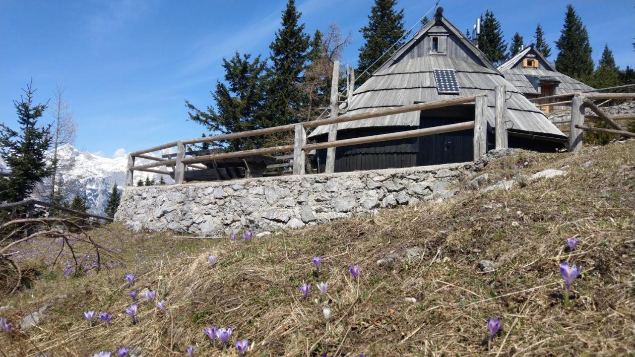 Chalet Resa - Velika Planina Stahovica Exterior photo
